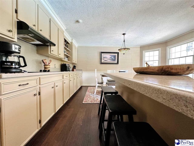 kitchen with under cabinet range hood, a textured ceiling, dark wood-style floors, light countertops, and hanging light fixtures