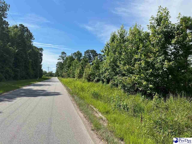 Listing photo 3 for TBD Country Ln, Timmonsville SC 29161