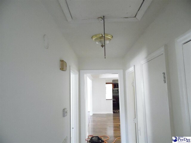 hallway featuring hardwood / wood-style flooring