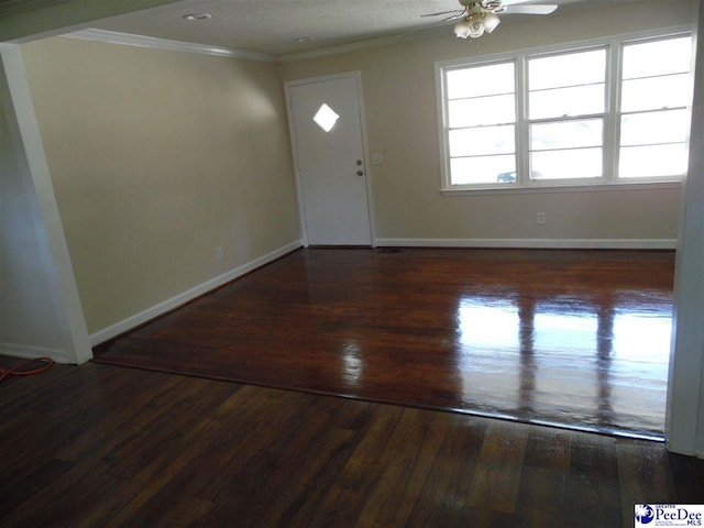 entryway featuring dark wood-type flooring, ceiling fan, and ornamental molding