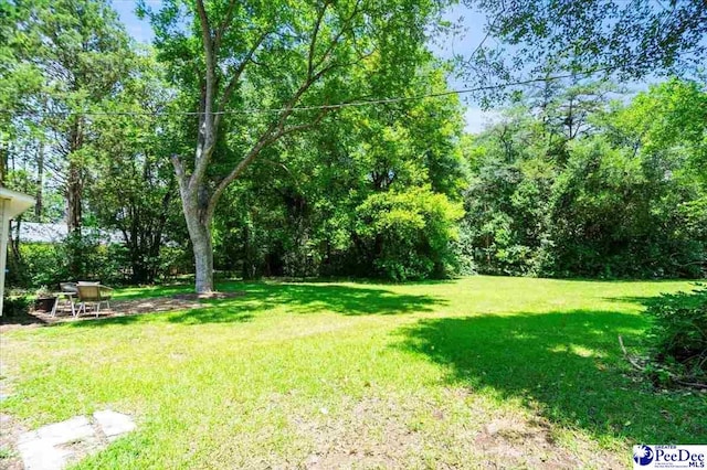 311 Green St, Hartsville, SC 29550 - photo 32