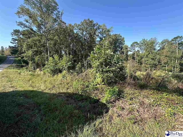 LOT4 Green St, Chesterfield SC, 29709 land for sale