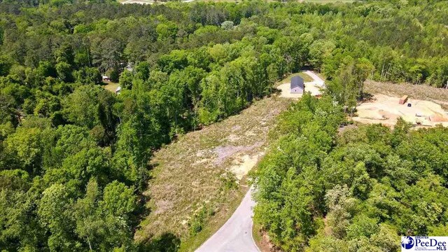 LOT4 Green St, Chesterfield, SC 29709