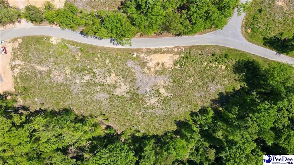 LOT4 Green St, Chesterfield, SC 29709