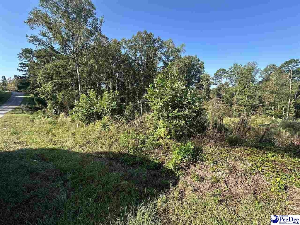 LOT4 Green St, Chesterfield, SC 29709