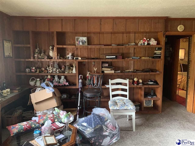 miscellaneous room with carpet floors and wood walls