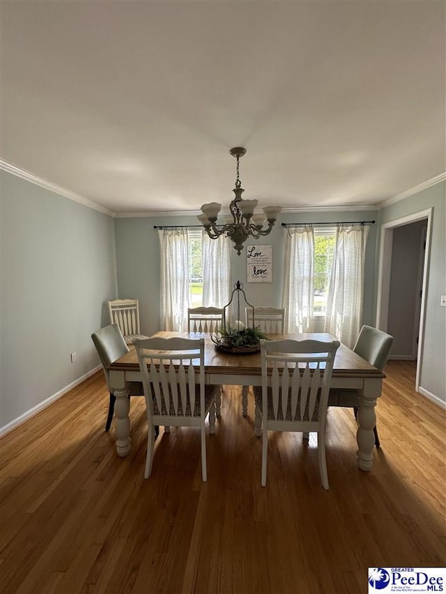 1915 Damon Dr, Florence, SC 29505 - photo 6