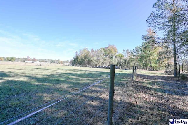 view of yard with a rural view