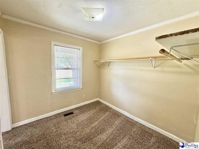 2303 Mccown Dr, Florence, SC 29501 - photo 14