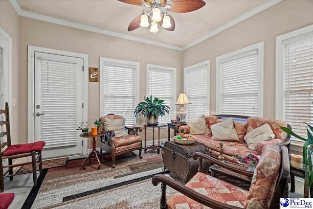 living room featuring ceiling fan and ornamental molding