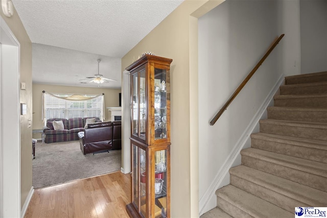 1147 Hallie Dr, Florence, SC 29505 - photo 4