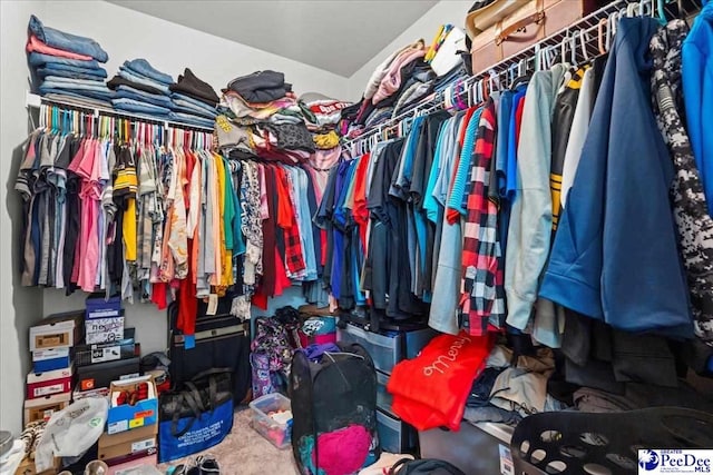 view of spacious closet