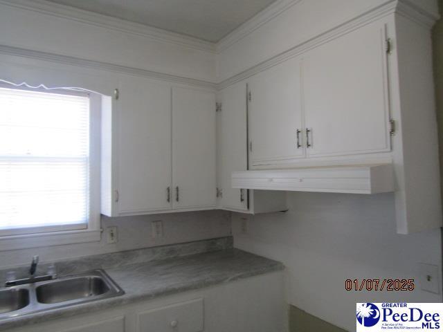 kitchen with crown molding, sink, and white cabinets