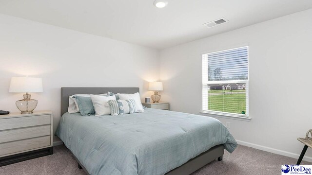 585 Strawberry Field Way, Galivants Ferry, SC 29544 - carpeted bedroom featuring baseboards