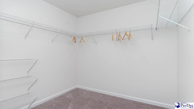 585 Strawberry Field Way, Galivants Ferry, SC 29544 - spacious closet featuring carpet