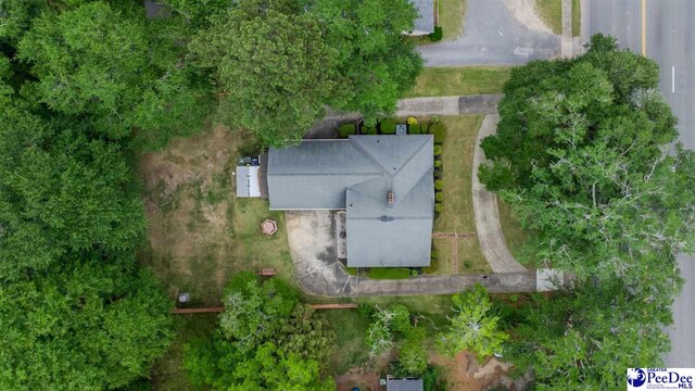 560 W Carolina Ave, Hartsville, SC 29550 - photo 30