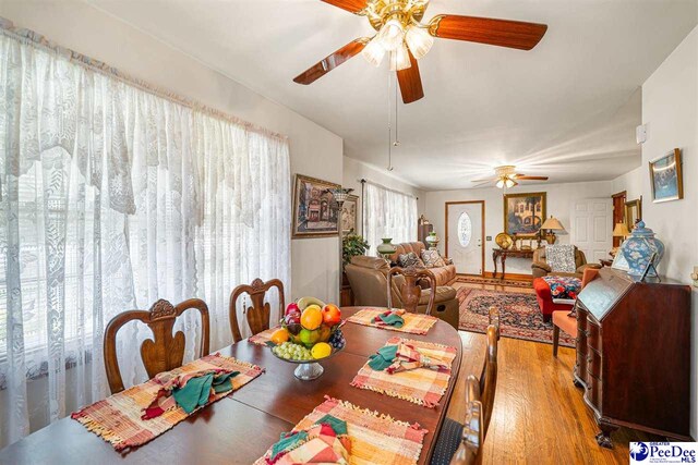 560 W Carolina Ave, Hartsville, SC 29550 - photo 9