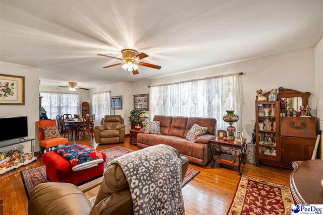 560 W Carolina Ave, Hartsville, SC 29550 - photo 5