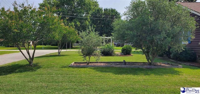 317 W Academy St, Latta, SC 29565 - photo 14