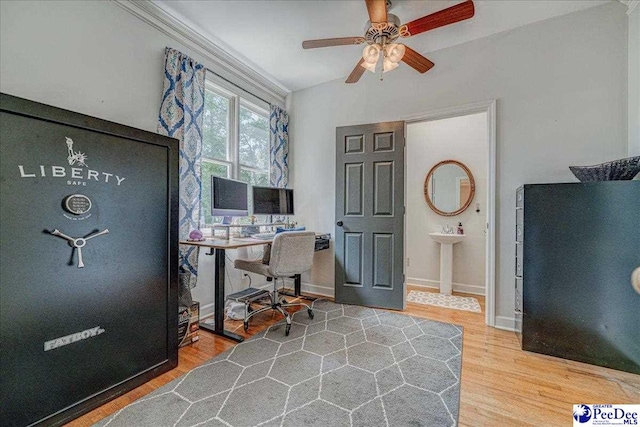 office featuring ceiling fan, baseboards, and wood finished floors