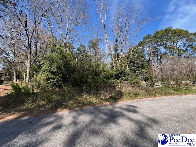 Listing photo 3 for TBD Jones Cir, Bishopville SC 29010