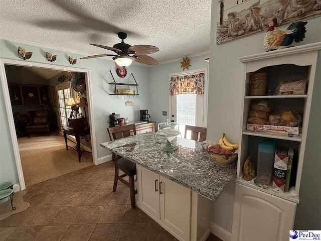 159 Ridge Rd, Cheraw, SC 29512 - kitchen featuring a ceiling fan, a textured ceiling, dark tile patterned flooring, dark carpet, and stone countertops