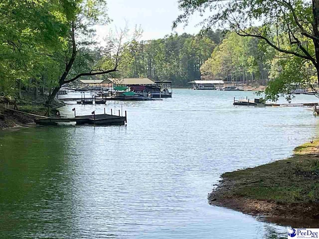 view of water feature featuring a floating dock and a forest view