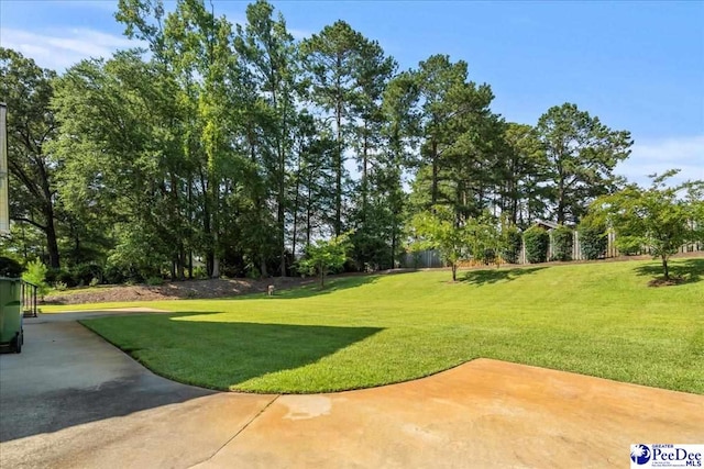 213 Green Dr, Darlington, SC 29532 - photo 3