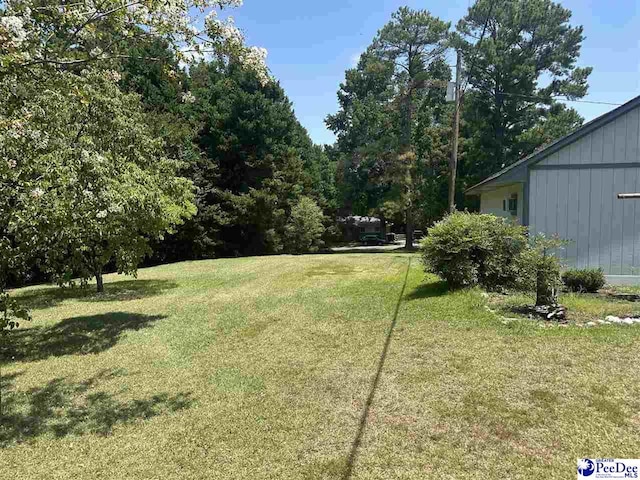 302 State Rd, Cheraw, SC 29520 - photo 5