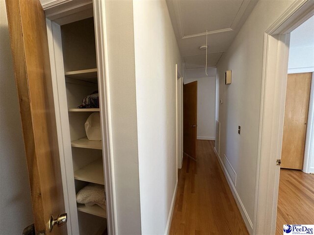 302 State Rd, Cheraw, SC 29520 - photo 21
