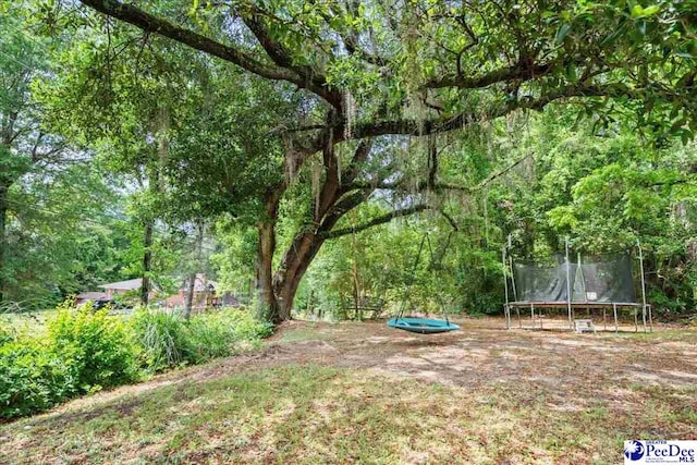 304 Wells St, Darlington, SC 29532 - view of yard with a trampoline and a view of trees