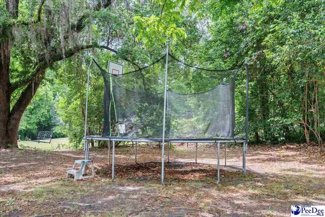 304 Wells St, Darlington, SC 29532 - view of home's community with a trampoline and a forest view