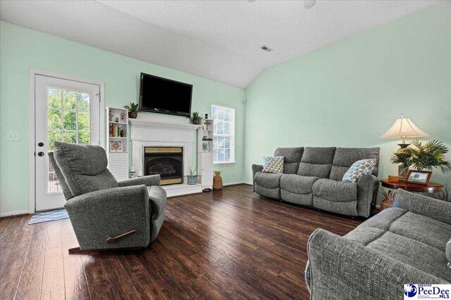 657 Red Tip Cir, Florence, SC 29501 - living room featuring wood finished floors, lofted ceiling, and a fireplace with raised hearth