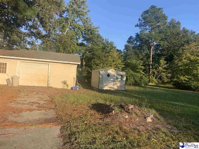 view of yard with a storage unit