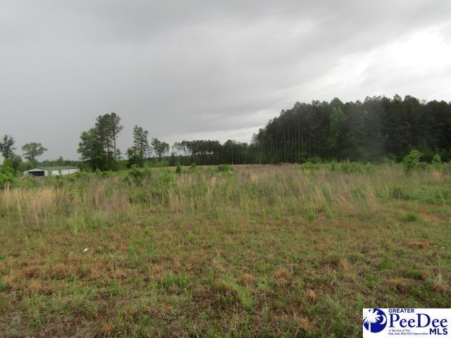 Listing photo 2 for TBD W Countryside, Dillon SC 29536