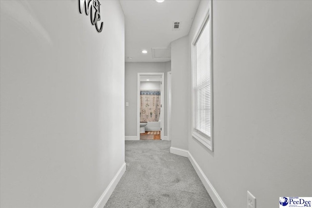hall with visible vents, baseboards, carpet flooring, and recessed lighting