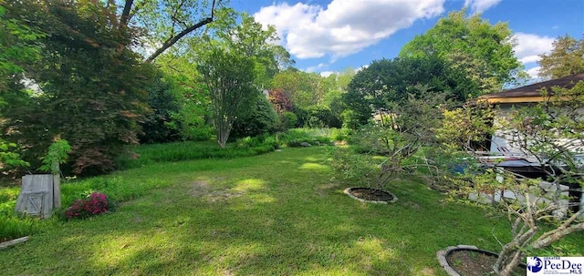 711 E Main St, Bennettsville, SC 29512 - view of grassy yard