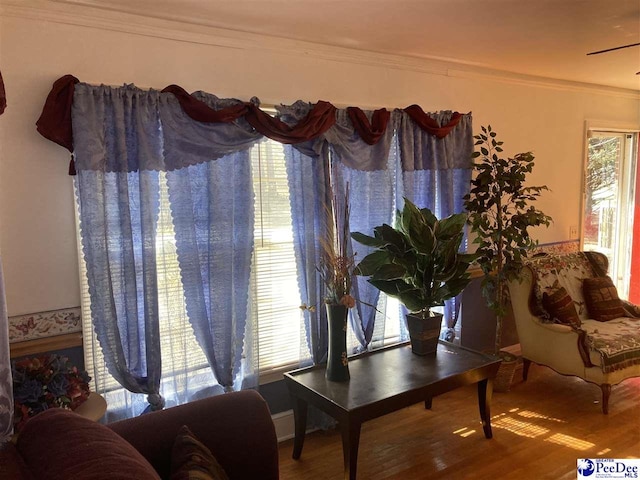 living area featuring crown molding and wood-type flooring