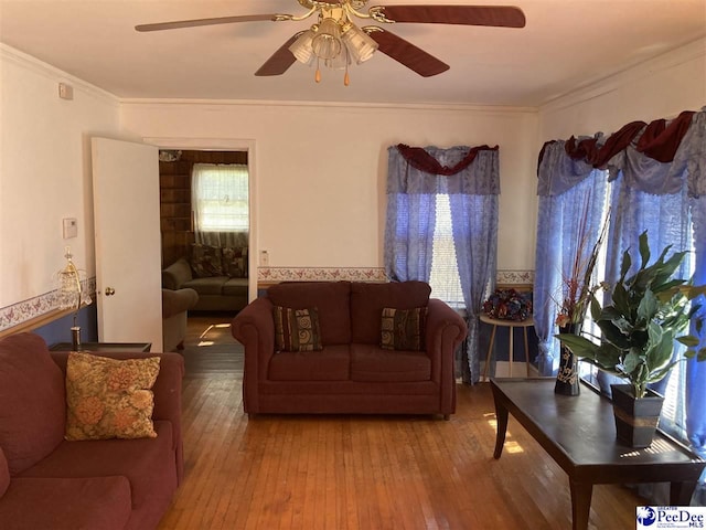 living room with ceiling fan, ornamental molding, and wood-type flooring