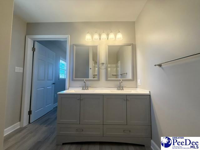 full bath featuring wood finished floors, a sink, baseboards, and double vanity