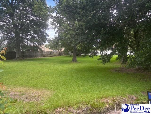 117 Hutchinson Ave, Florence, SC 29505 - photo 1