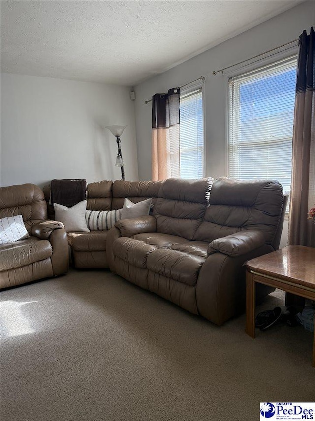 carpeted living room with a textured ceiling