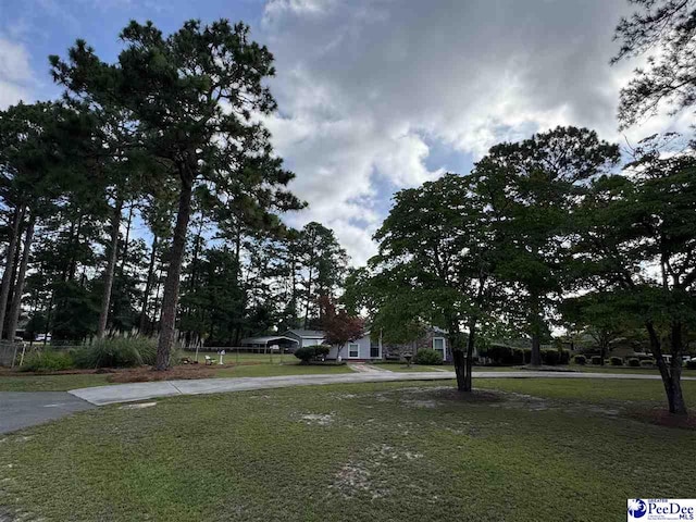 1201 Coker St, Dillon, SC 29536 - photo 16