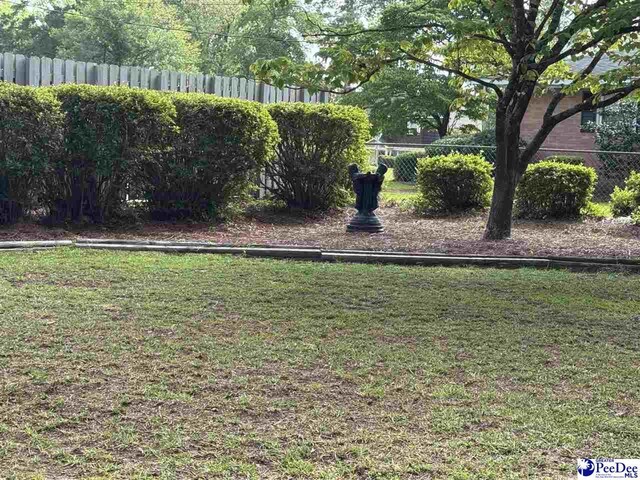 1201 Coker St, Dillon, SC 29536 - photo 18