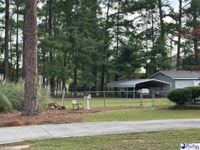 1201 Coker St, Dillon, SC 29536 - photo 15