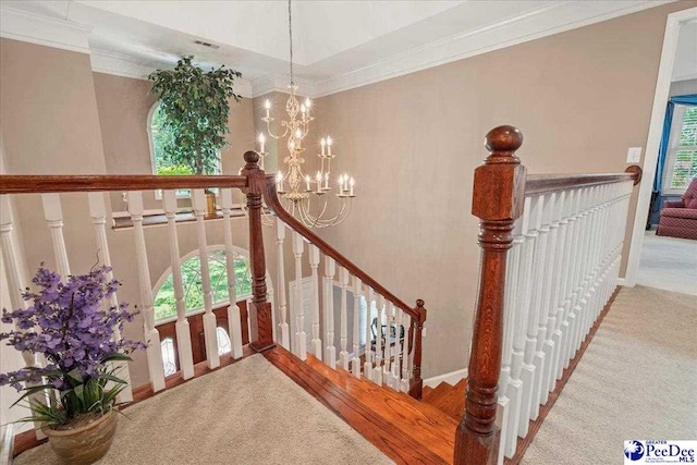 3840 Westbrook Dr, Florence, SC 29501 - photo 27
