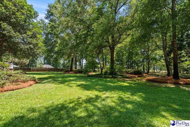 3840 Westbrook Dr, Florence, SC 29501 - photo 60
