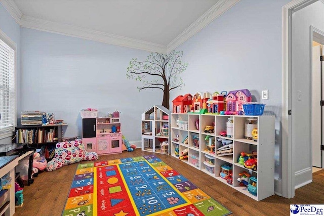 recreation room with crown molding and dark wood-type flooring