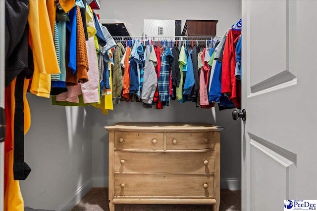 view of walk in closet