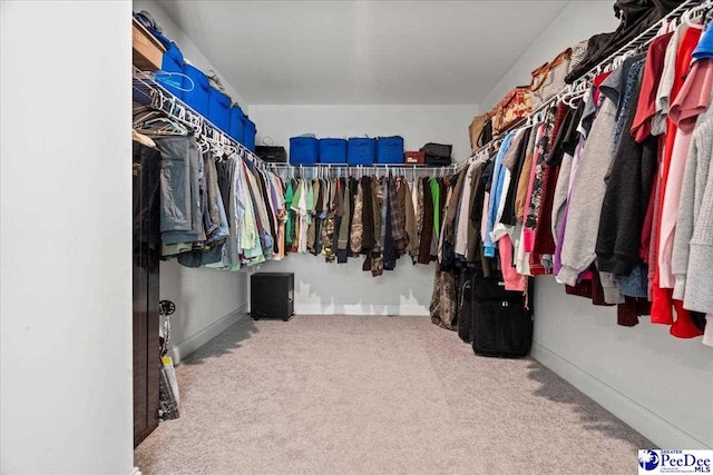 spacious closet with carpet